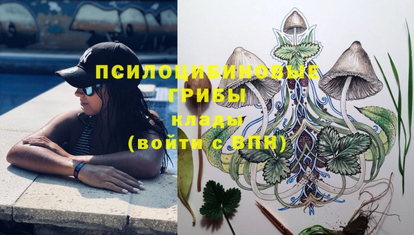 СК Беломорск